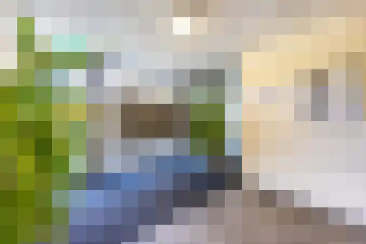 van Vollenhovenlaan 42 Rijswijk thumbnail 8