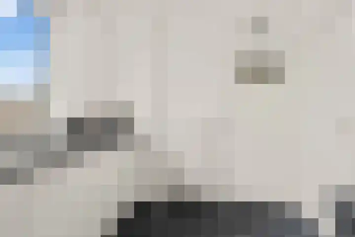 Van Vollenhovenlaan 46 Utrecht thumbnail 13