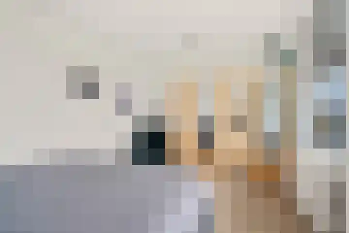 Van Vollenhovenlaan 46 Utrecht thumbnail 17