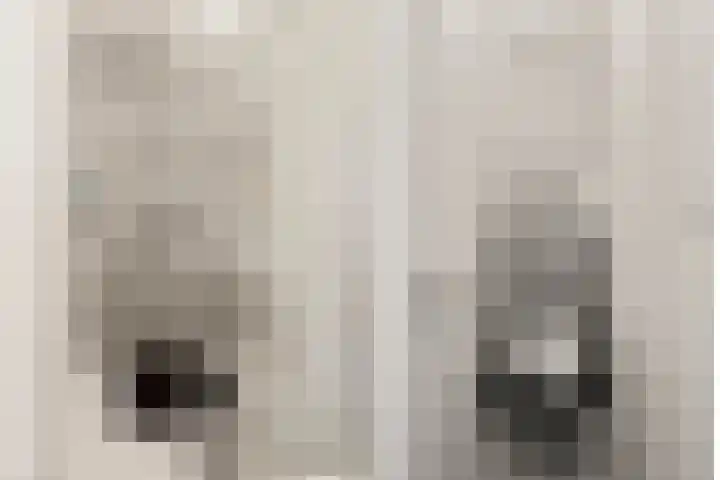 Van Vollenhovenlaan 46 Utrecht thumbnail 22
