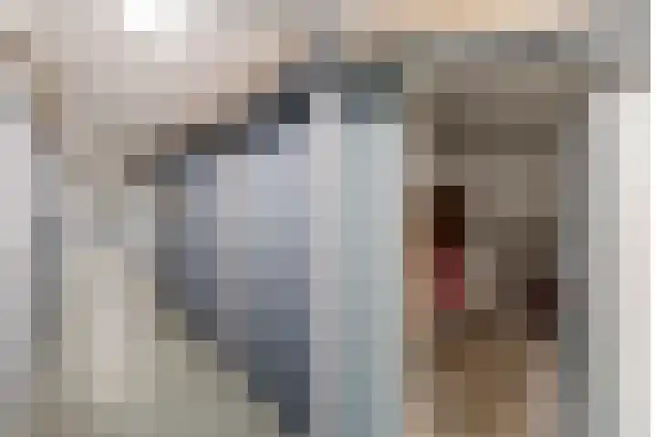 Van Vollenhovenlaan 46 Utrecht thumbnail 26