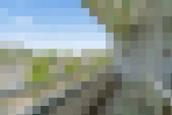 Van Vollenhovenlaan 46 Utrecht foto 3