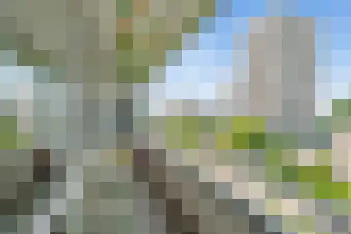 Van Vollenhovenlaan 46 Utrecht thumbnail 8