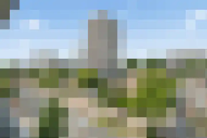 Van Vollenhovenlaan 46 Utrecht thumbnail 9