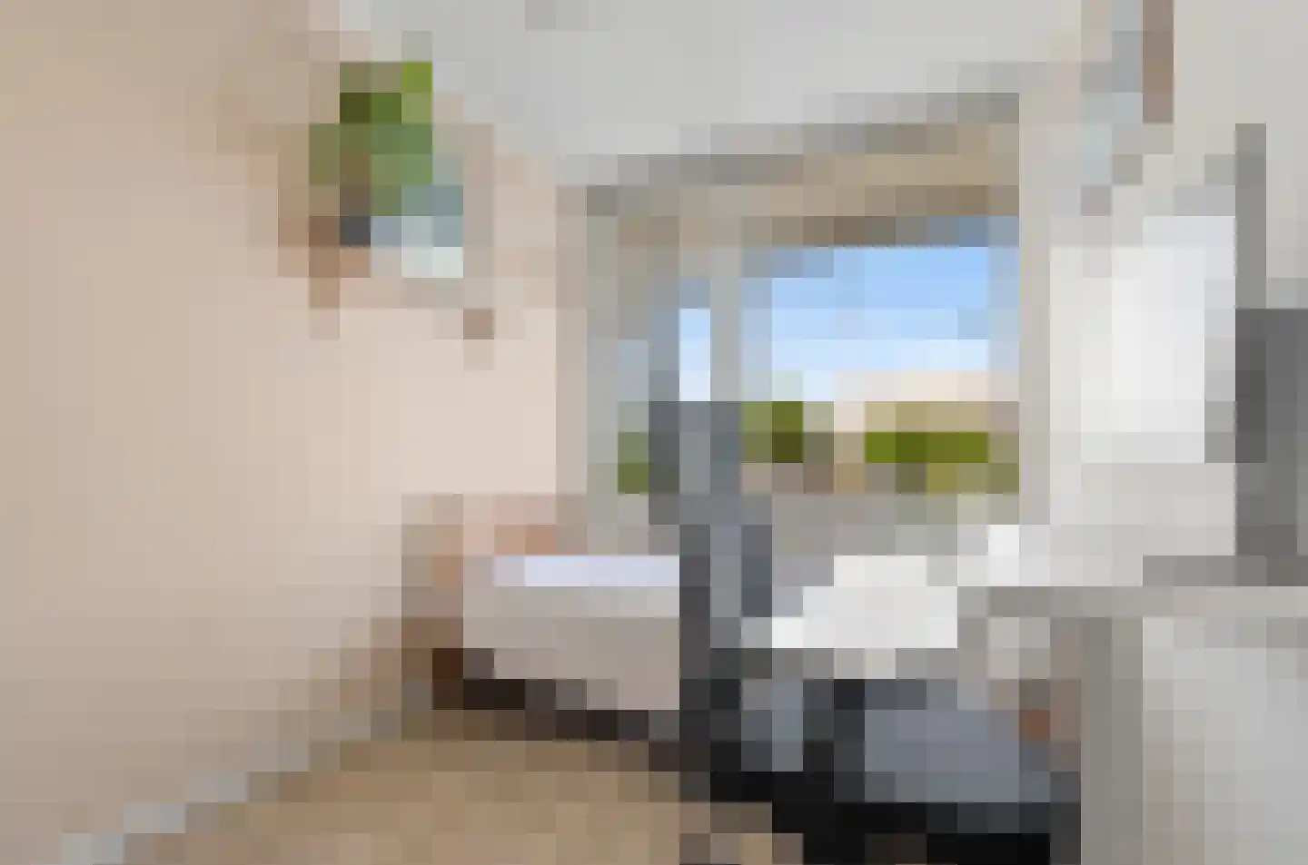 Van Vollenhovenlaan 48 Utrecht thumbnail 26