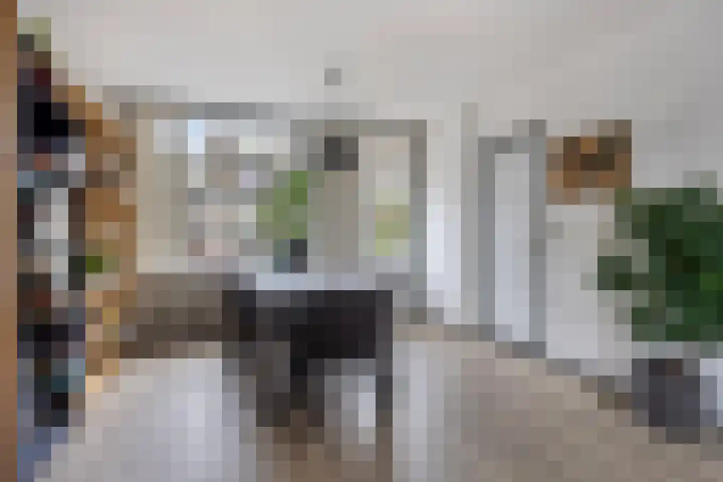 Van Vollenhovenlaan 74 Utrecht thumbnail 13