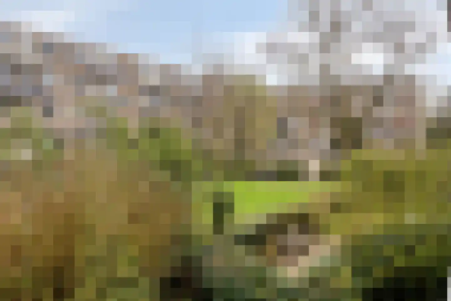 Van Vollenhovenlaan 74 Utrecht thumbnail 20
