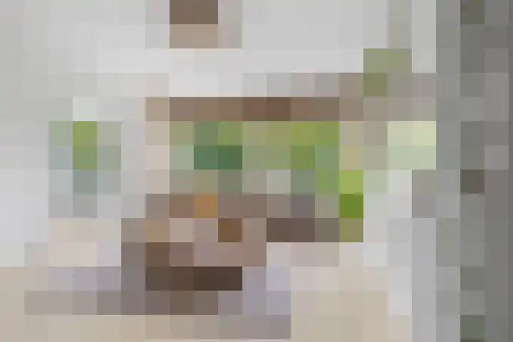 Van Vollenhovenlaan 85 Utrecht thumbnail 15