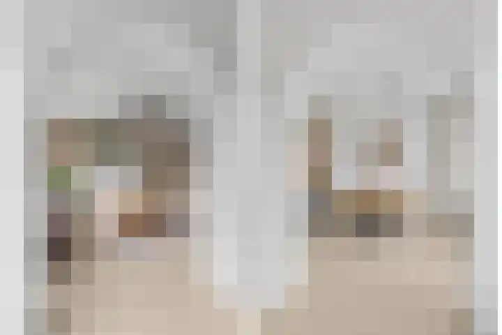 Van Vollenhovenlaan 85 Utrecht thumbnail 20