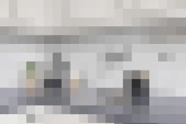 Van Vollenhovenlaan 85 Utrecht thumbnail 33