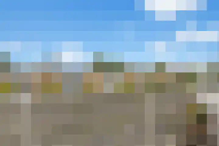 Van Vollenhovenlaan 85 Utrecht thumbnail 37