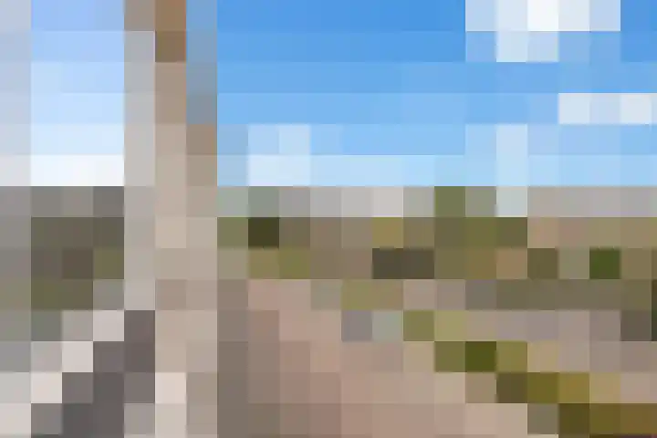 Van Vollenhovenlaan 85 Utrecht thumbnail 39