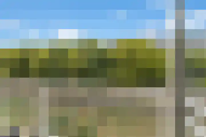 Van Vollenhovenlaan 85 Utrecht thumbnail 4