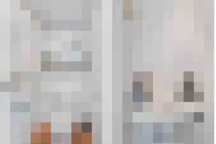 Van Vollenhovenlaan 85 Utrecht thumbnail 50