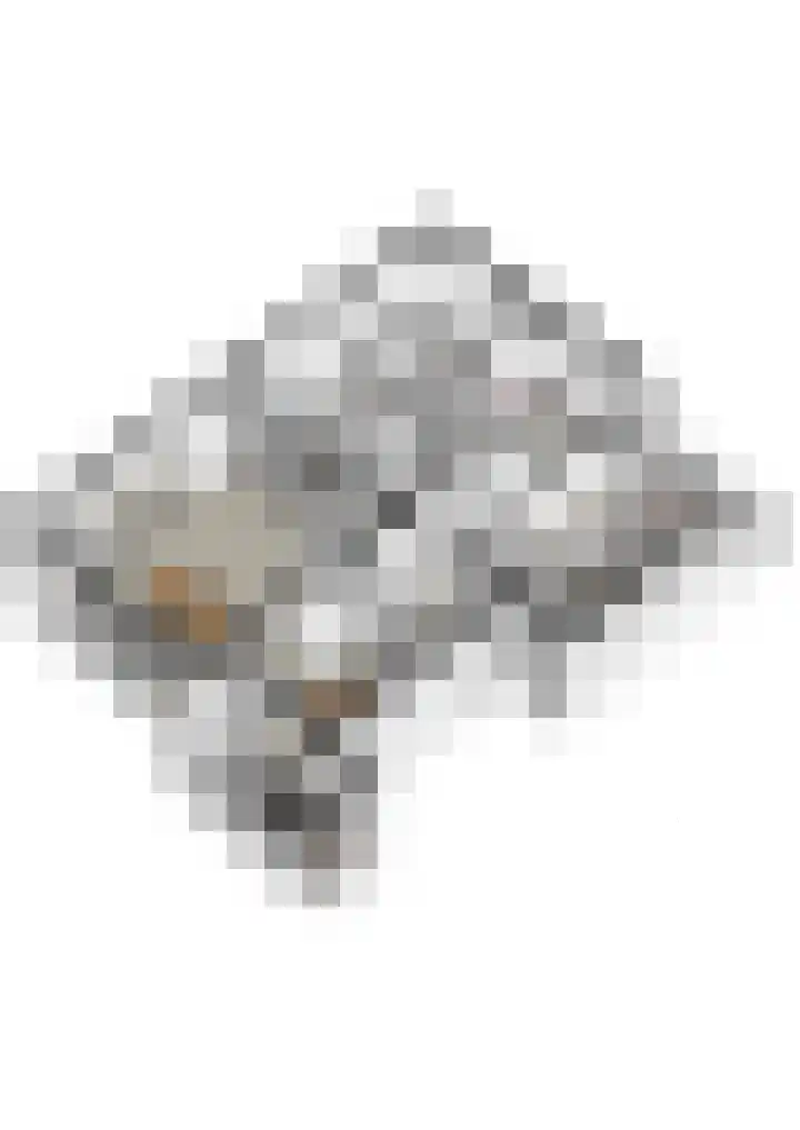 Van Vollenhovenlaan 85 Utrecht thumbnail 55