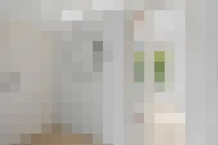 Van Vollenhovenlaan 85 Utrecht thumbnail 8