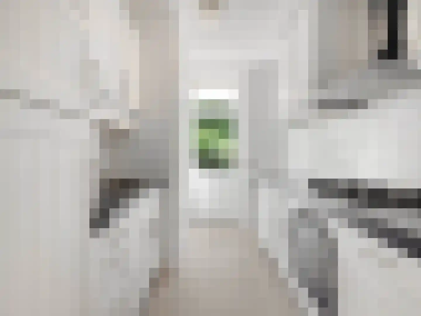 Van Vollenhovenlaan 88 Utrecht thumbnail 21