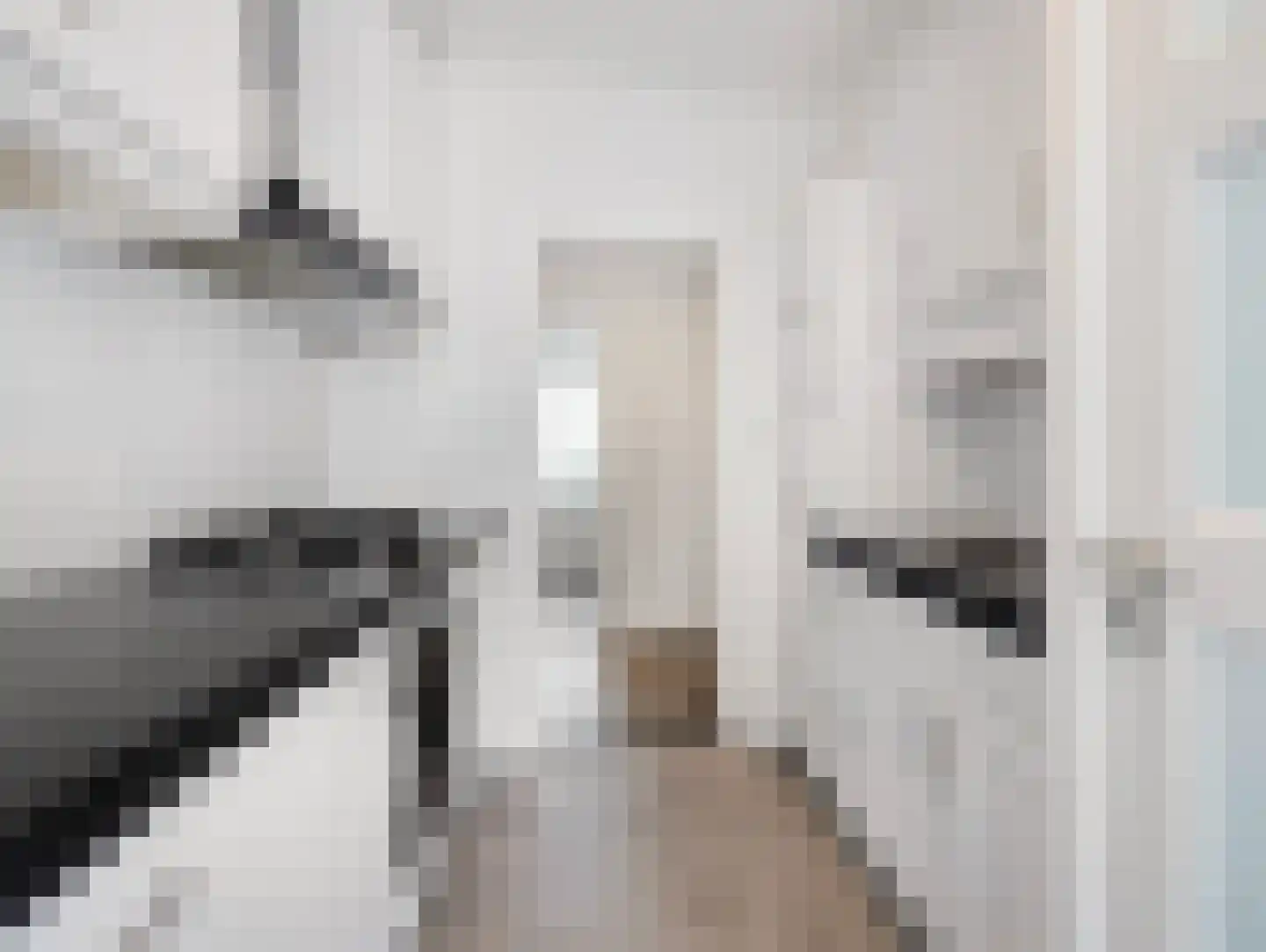 Van Vollenhovenlaan 88 Utrecht thumbnail 24