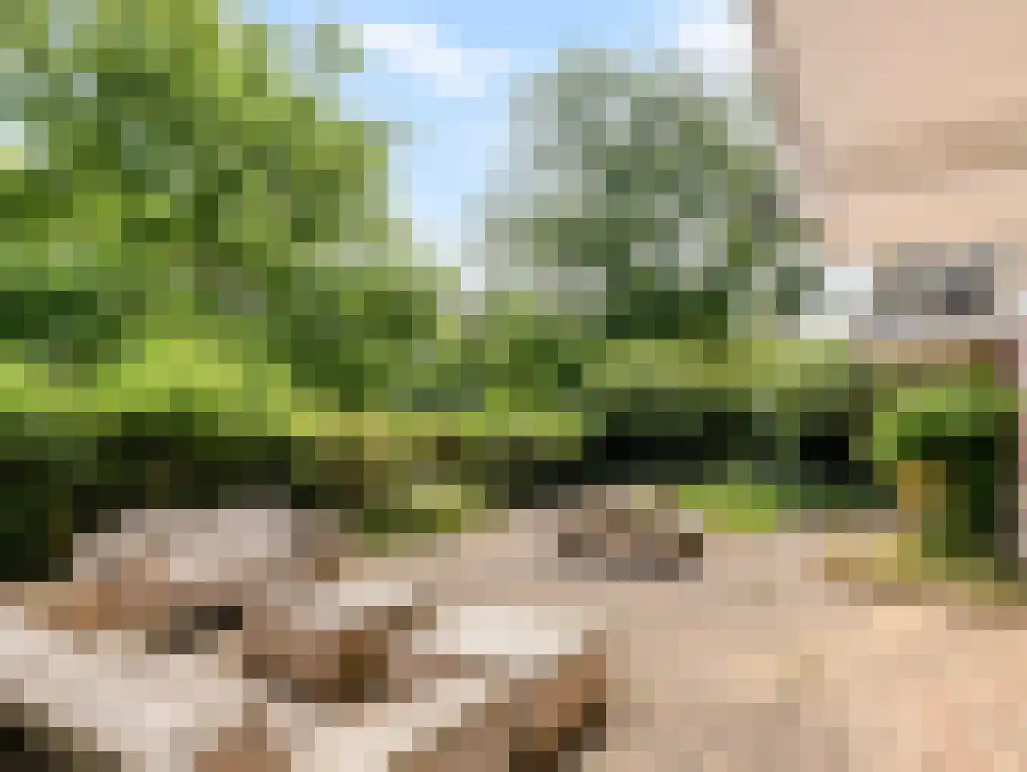Van Vollenhovenlaan 88 Utrecht thumbnail 34