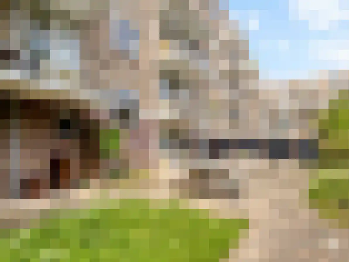 Van Vollenhovenlaan 88 Utrecht thumbnail 35