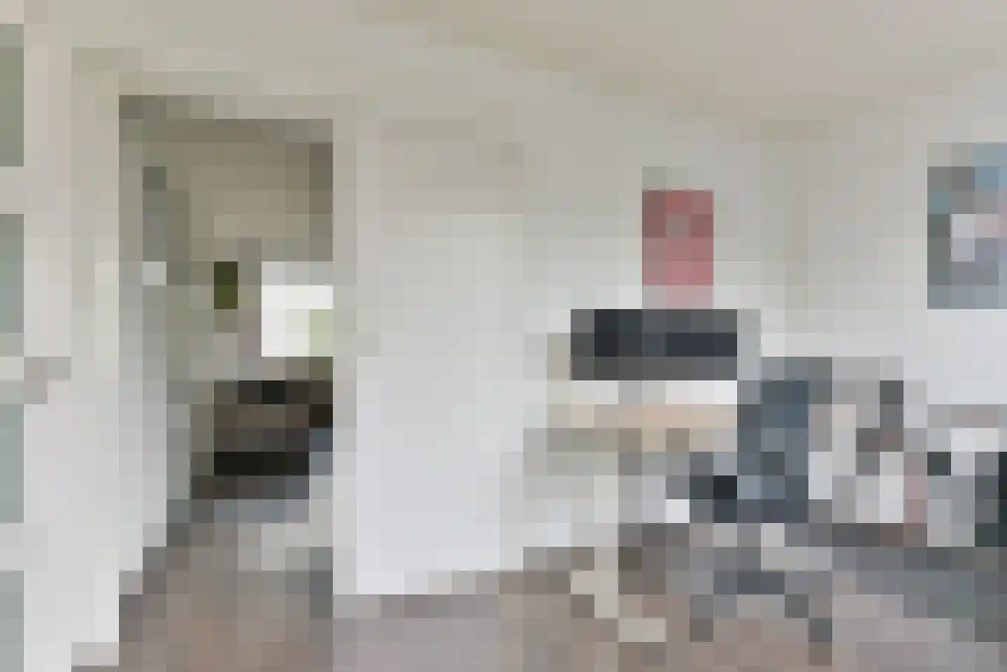 Van Vollenhovenlaan 90 Utrecht thumbnail 13