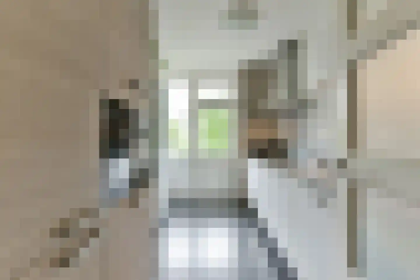 Van Vollenhovenlaan 90 Utrecht thumbnail 20