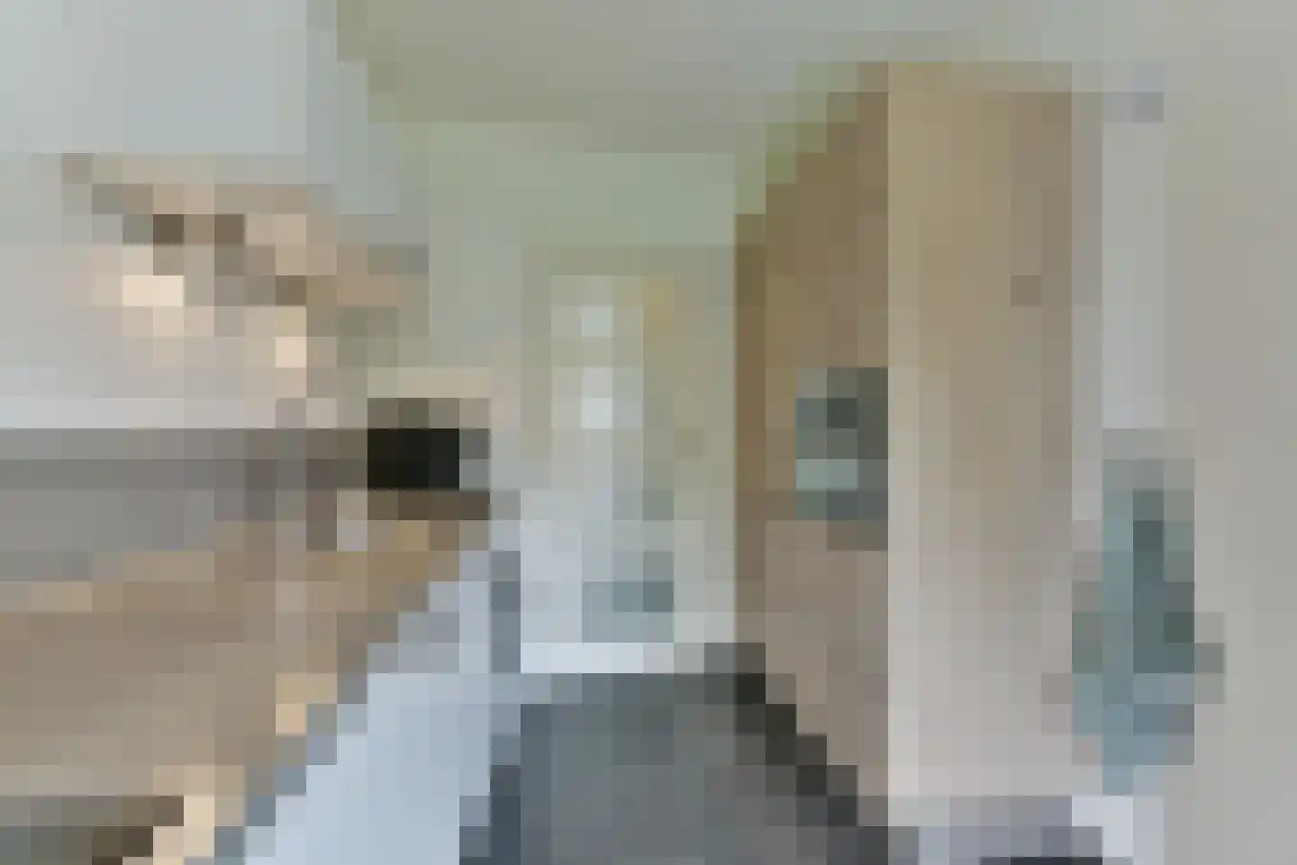Van Vollenhovenlaan 90 Utrecht thumbnail 22