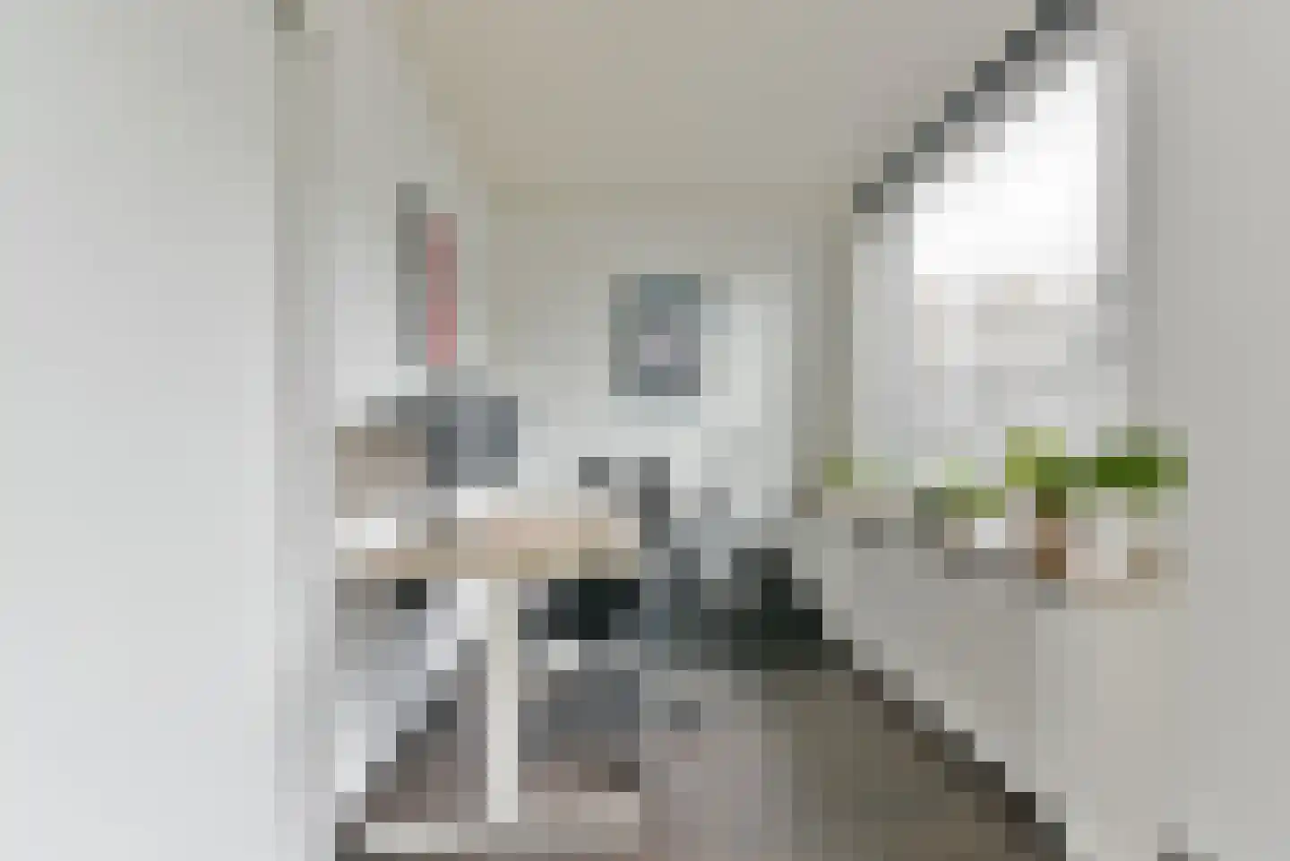 Van Vollenhovenlaan 90 Utrecht thumbnail 9