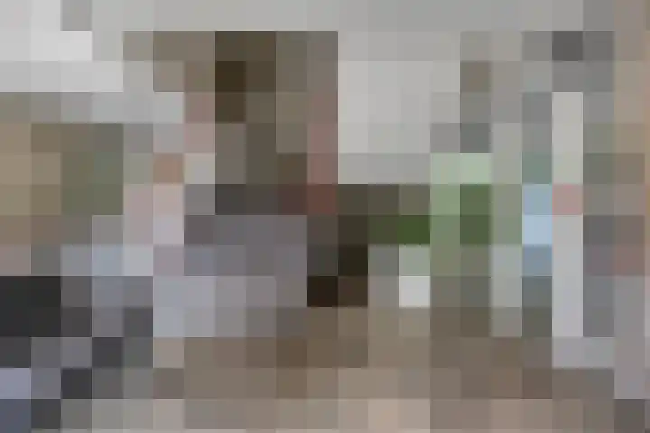 Van Vollenhovenplein 108 Leiden thumbnail 6