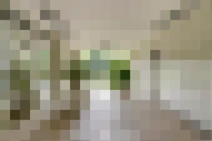 Van Vollenhovenplein 29 Leiden thumbnail 5