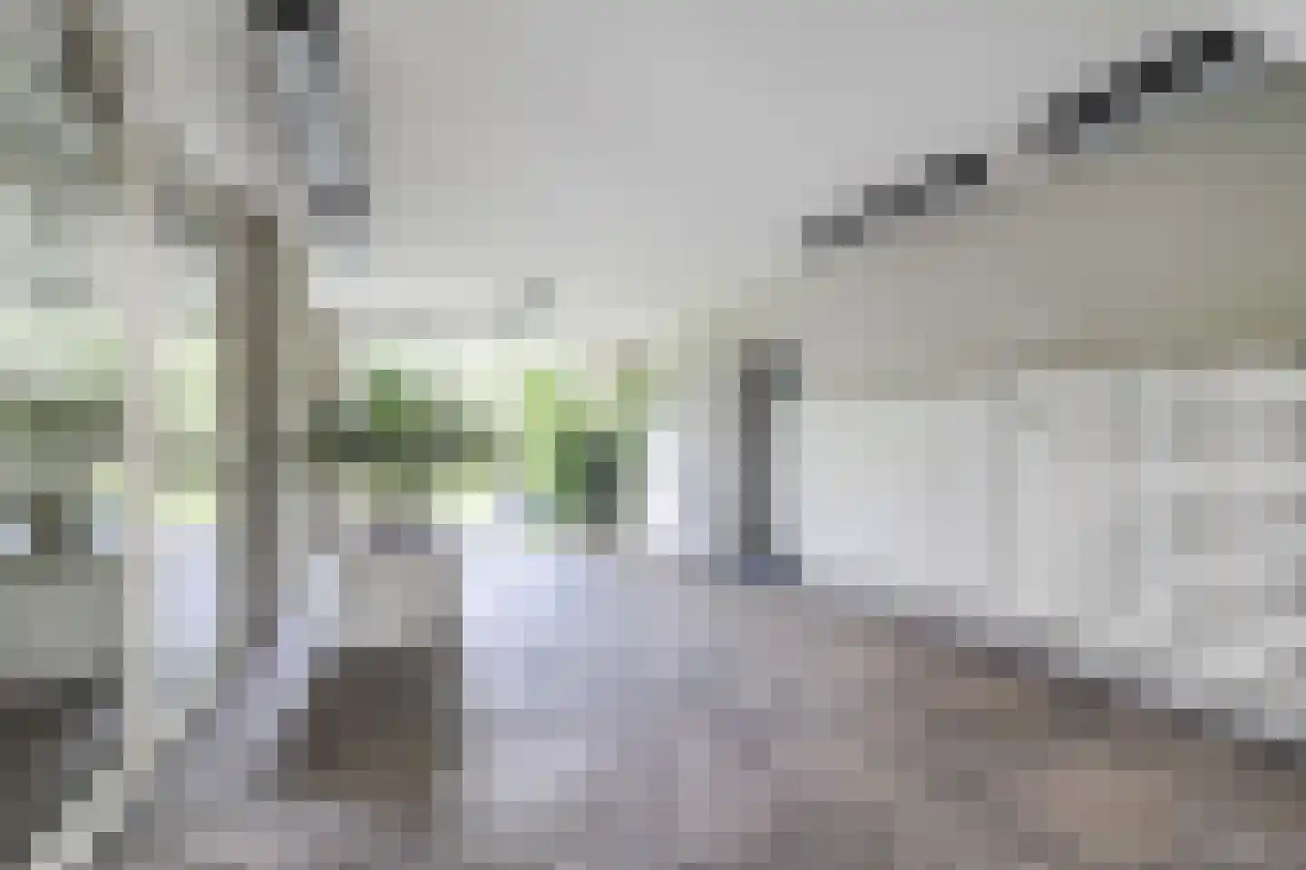 Van Vollenhovenplein 62 Leiden thumbnail 8