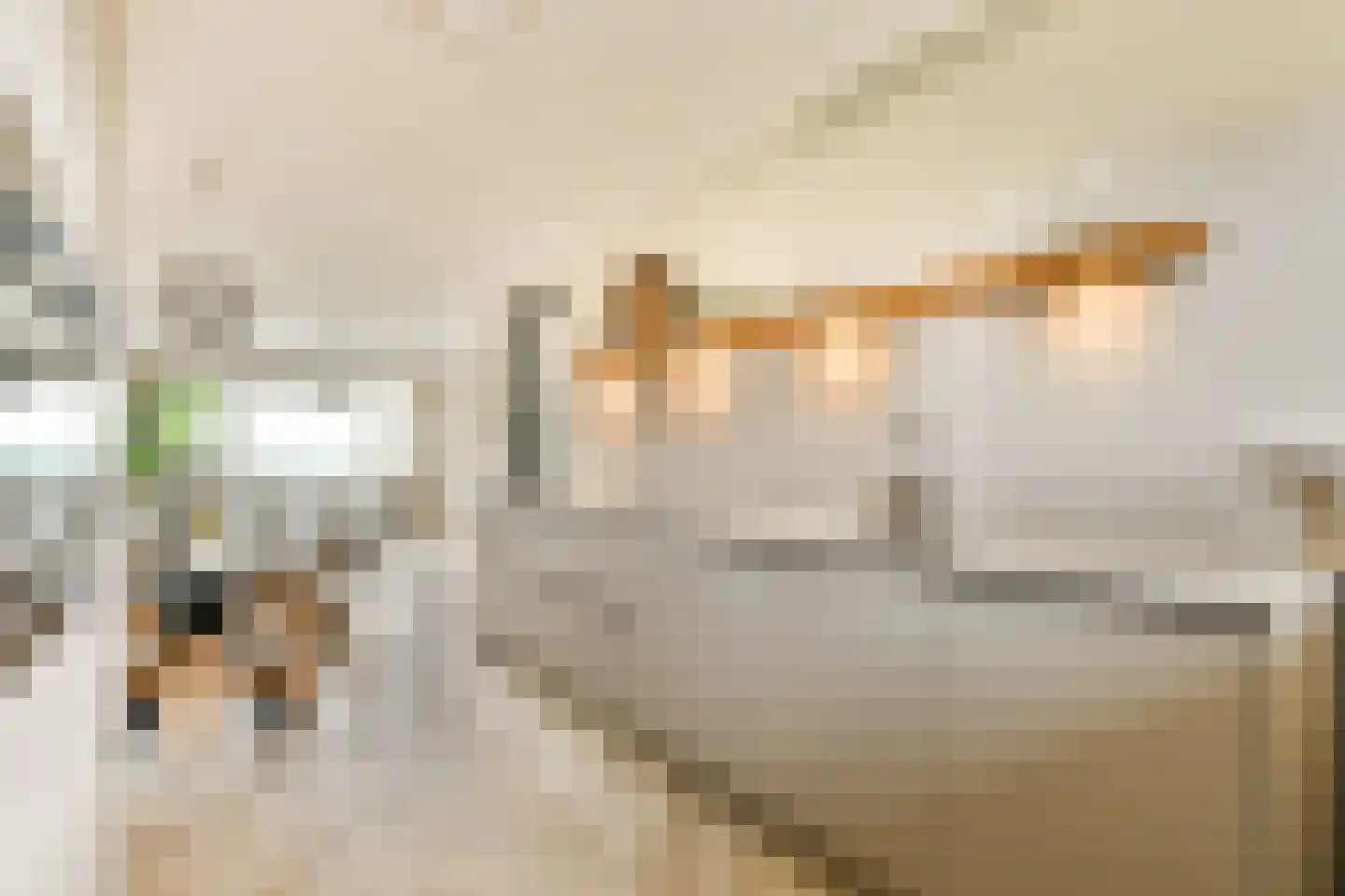 Van Vollenhovenplein 79 Leiden thumbnail 12