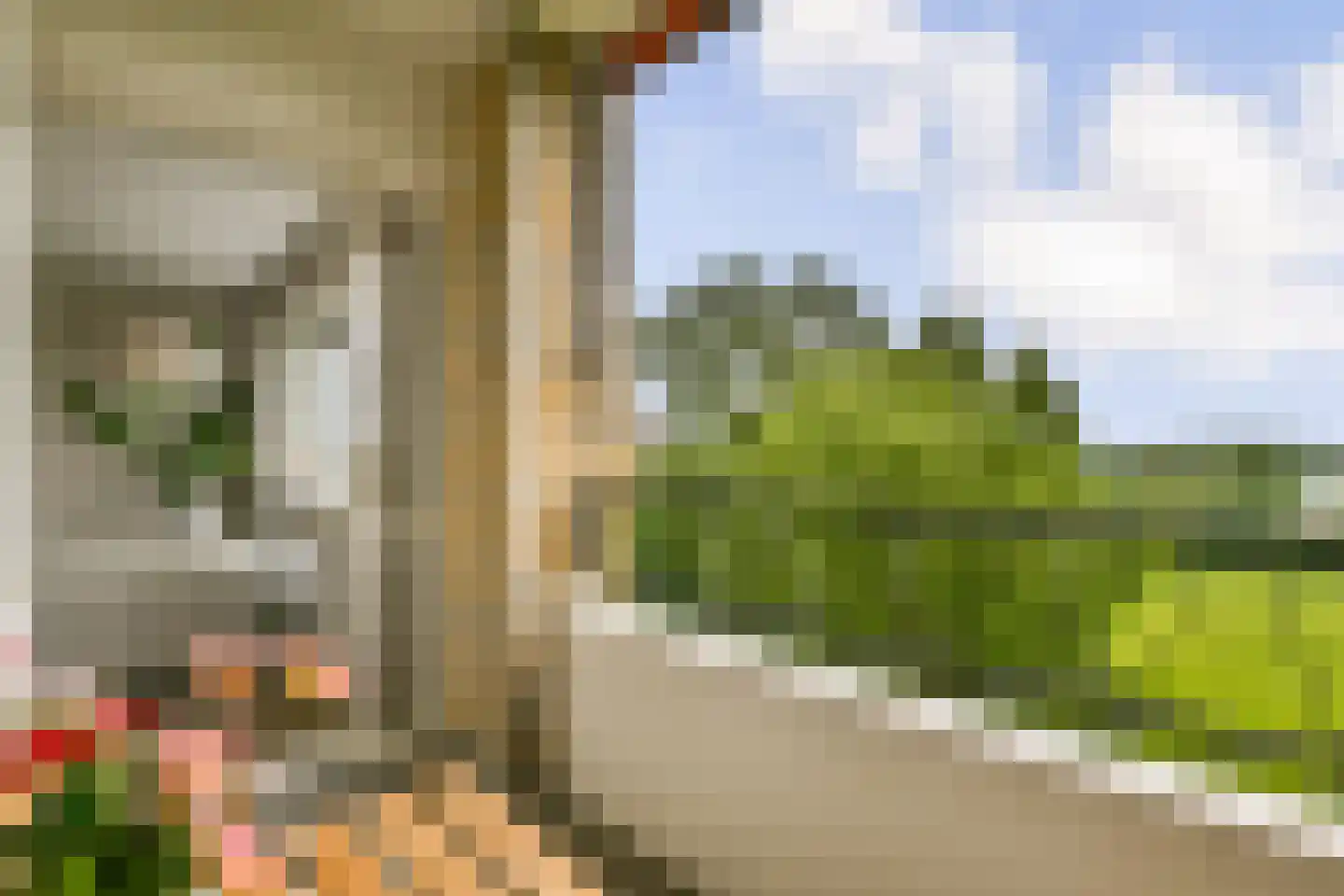 Van Vollenhovenplein 79 Leiden thumbnail 15