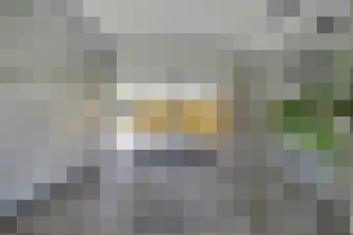 Van Vollenhovenplein 79 Leiden thumbnail 9