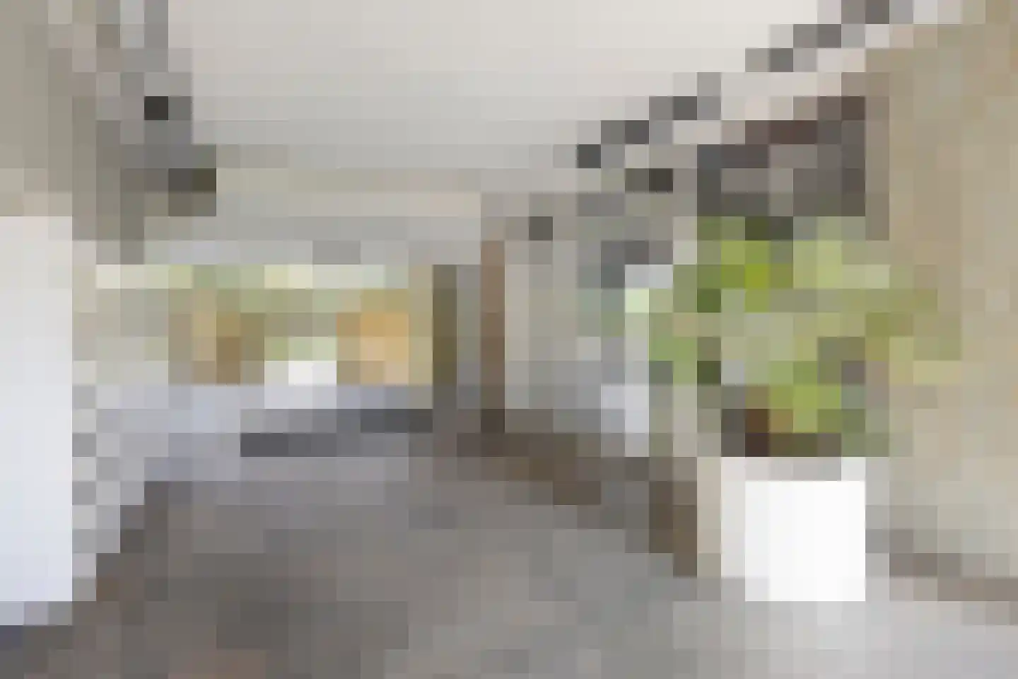Van Vollenhovenplein 86 Leiden thumbnail 10