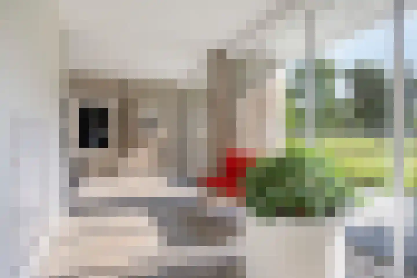 Van Vollenhovenplein 86 Leiden thumbnail 11