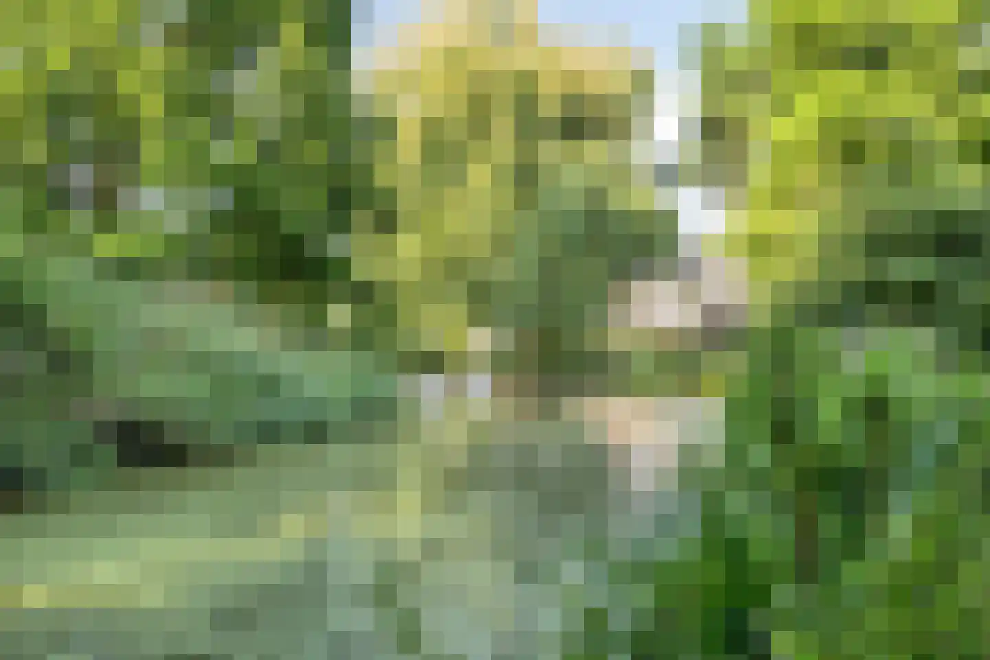 Van Vollenhovenplein 86 Leiden thumbnail 42