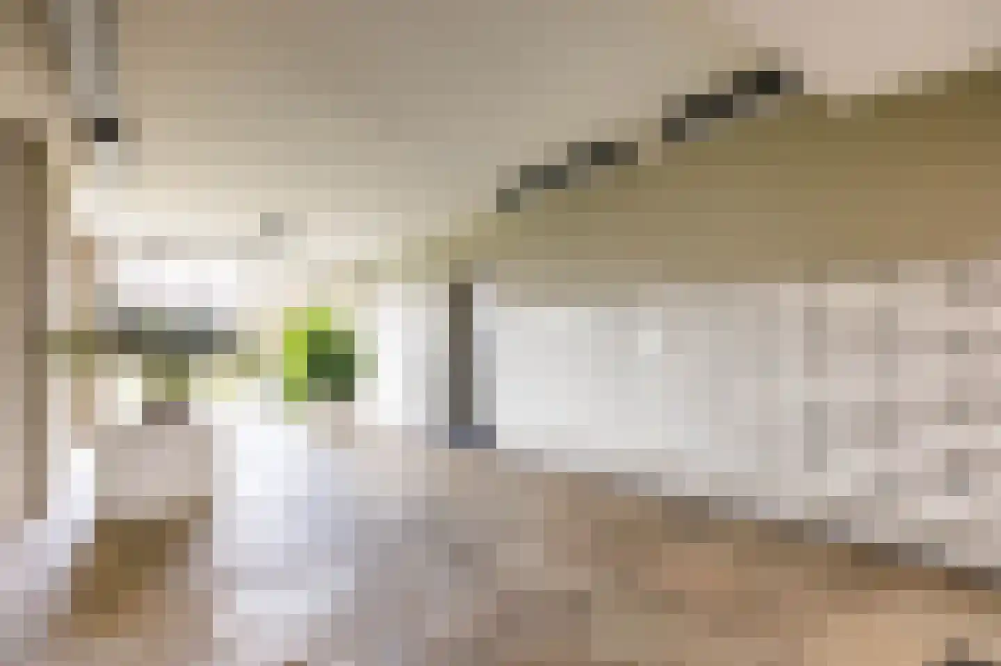 Van Vollenhovenplein 96 Leiden thumbnail 31
