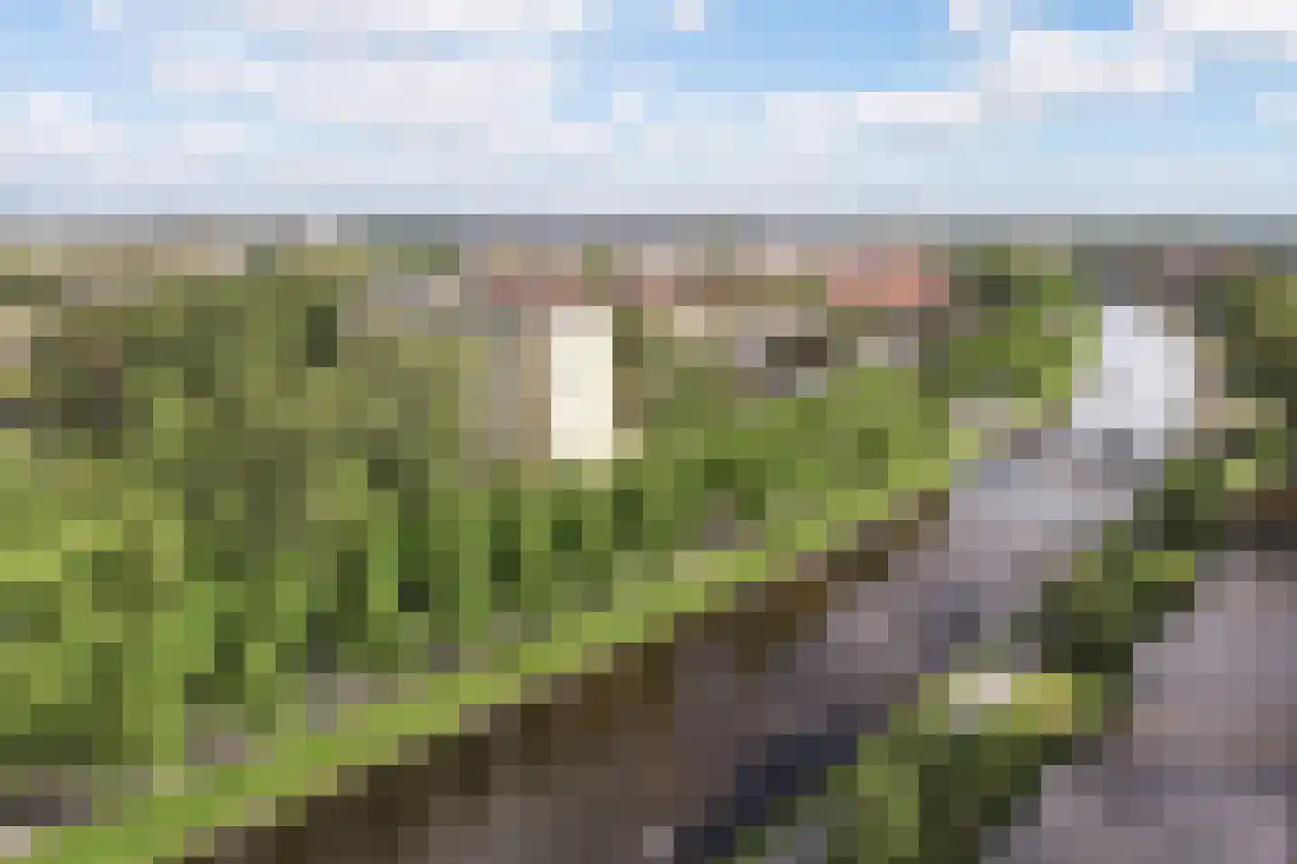 Van Vollenhovenplein 96 Leiden thumbnail 35