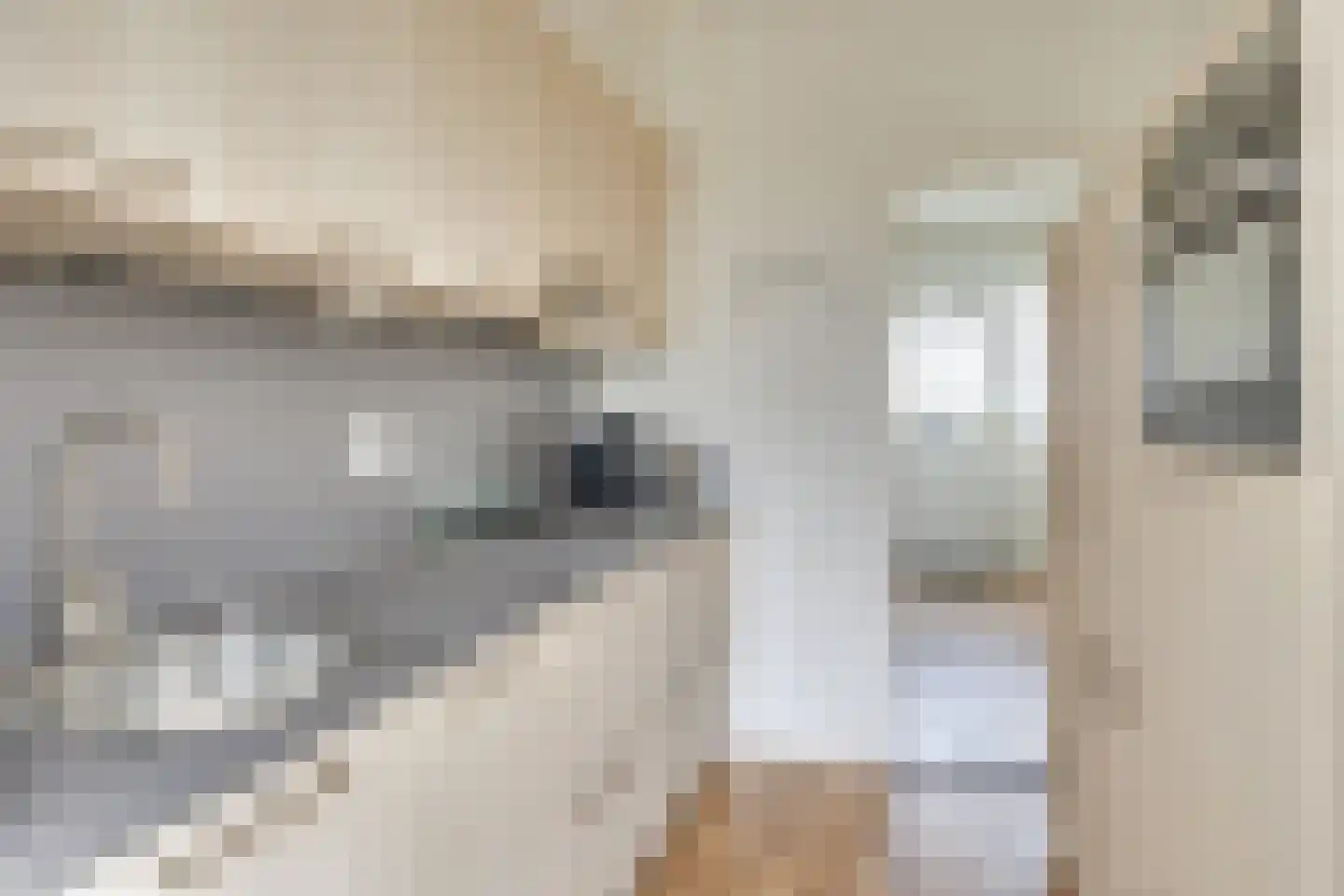 van Vollenhovenstraat 14 Eindhoven thumbnail 15