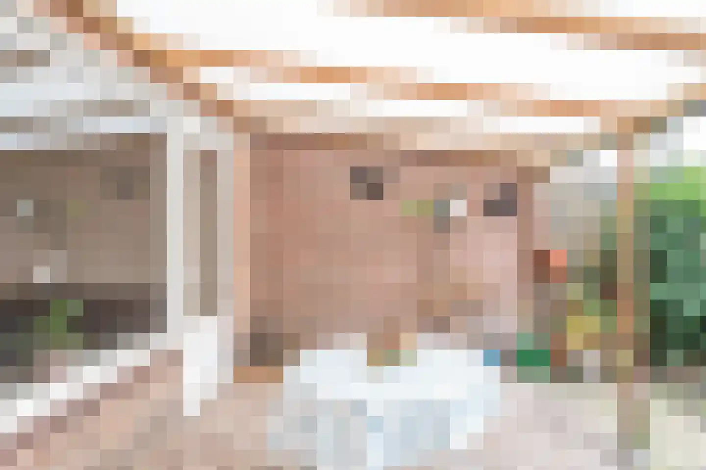 van Vollenhovenstraat 14 Eindhoven thumbnail 32