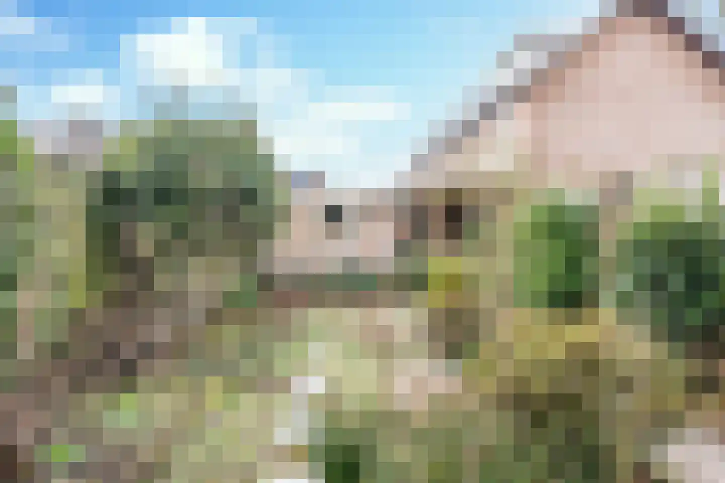 van Vollenhovenstraat 14 Eindhoven thumbnail 34