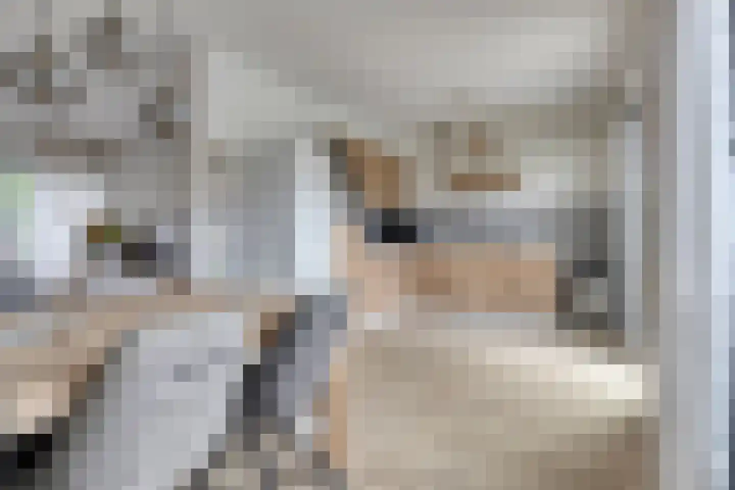 van Vollenhovenstraat 15 Hulst thumbnail 10