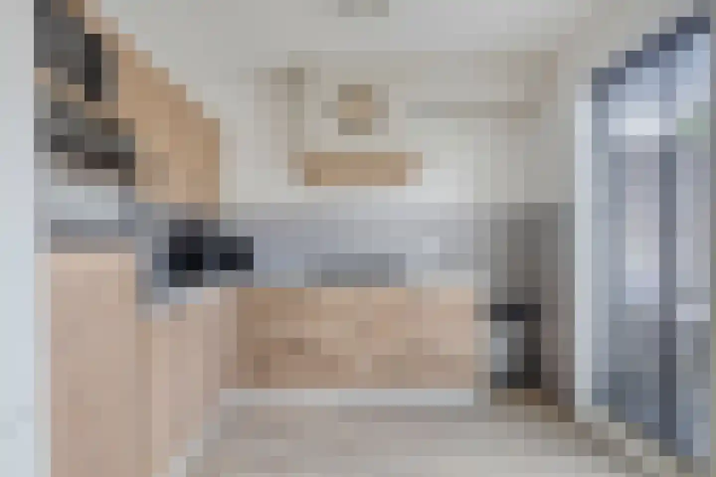 van Vollenhovenstraat 15 Hulst thumbnail 11