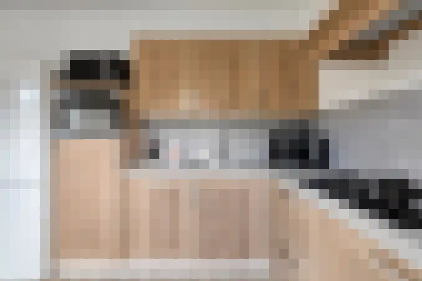 van Vollenhovenstraat 15 Hulst thumbnail 12