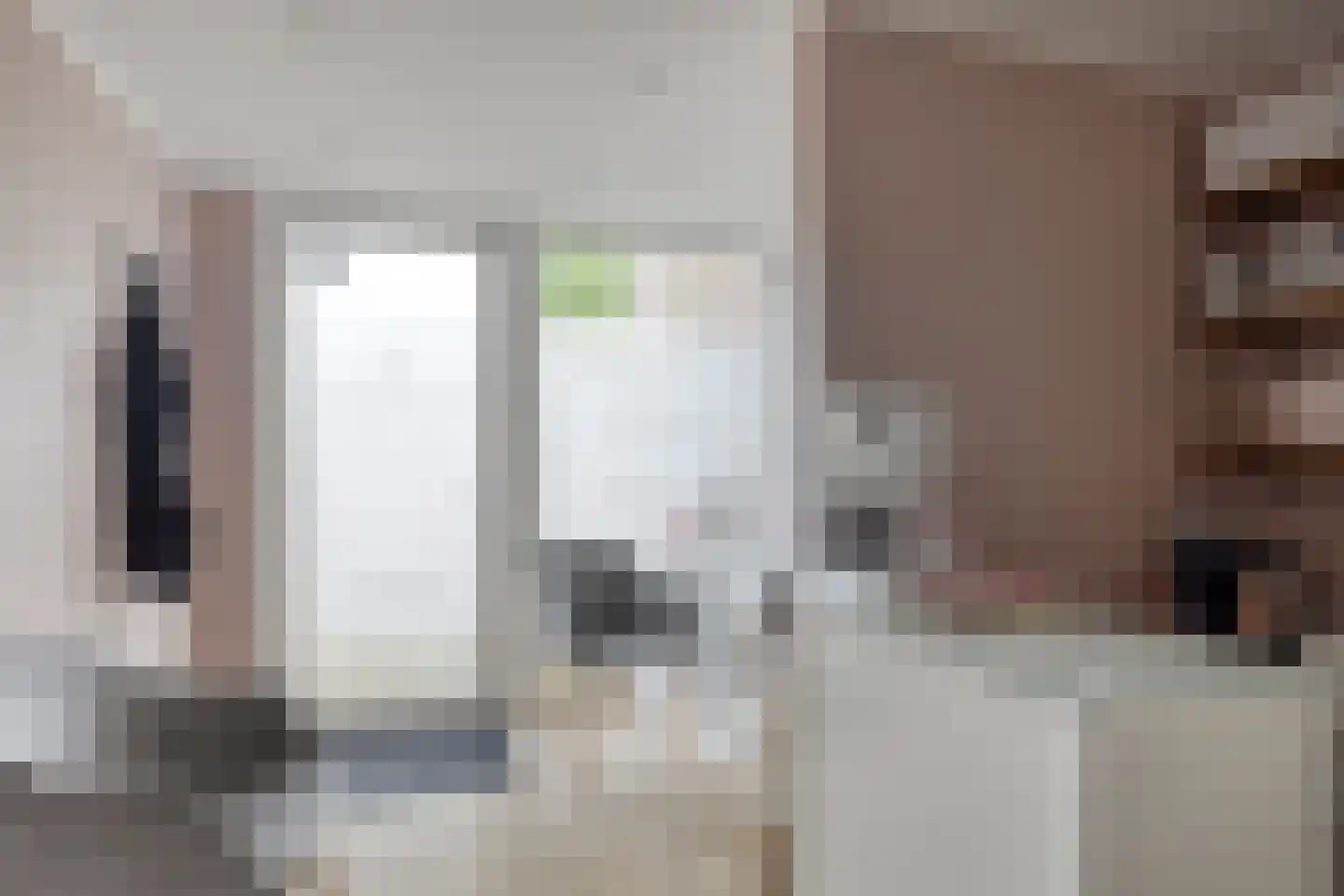 van Vollenhovenstraat 15 Hulst thumbnail 13