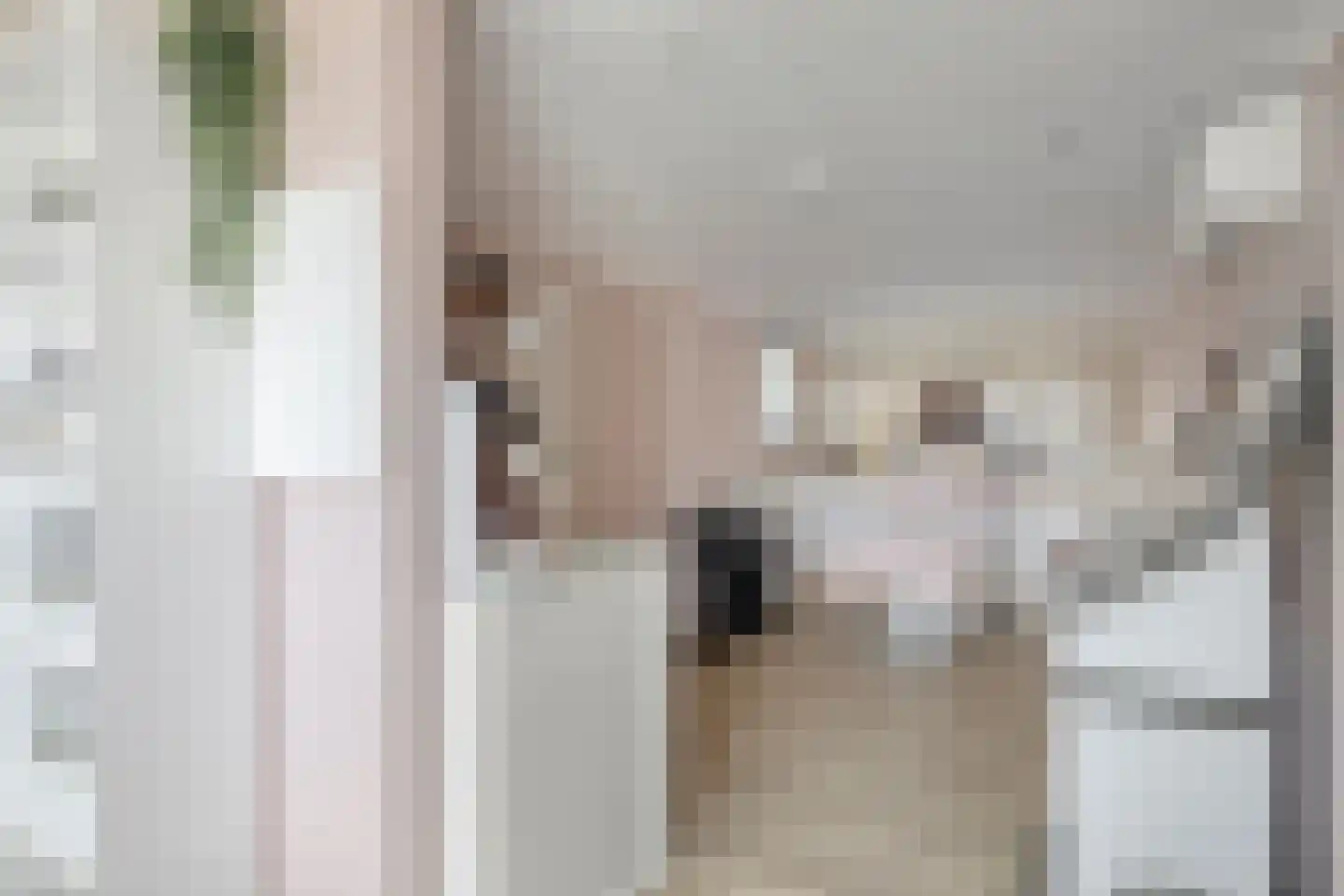 van Vollenhovenstraat 15 Hulst thumbnail 14