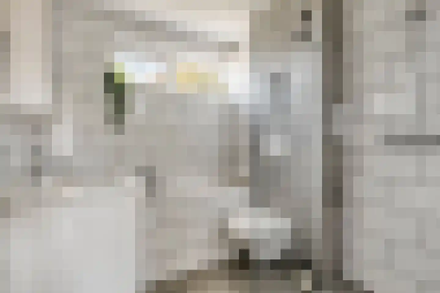 van Vollenhovenstraat 15 Hulst thumbnail 19