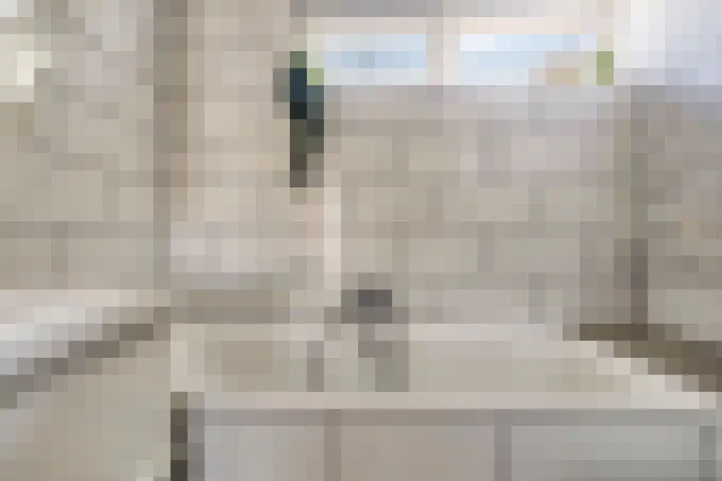 van Vollenhovenstraat 15 Hulst thumbnail 20