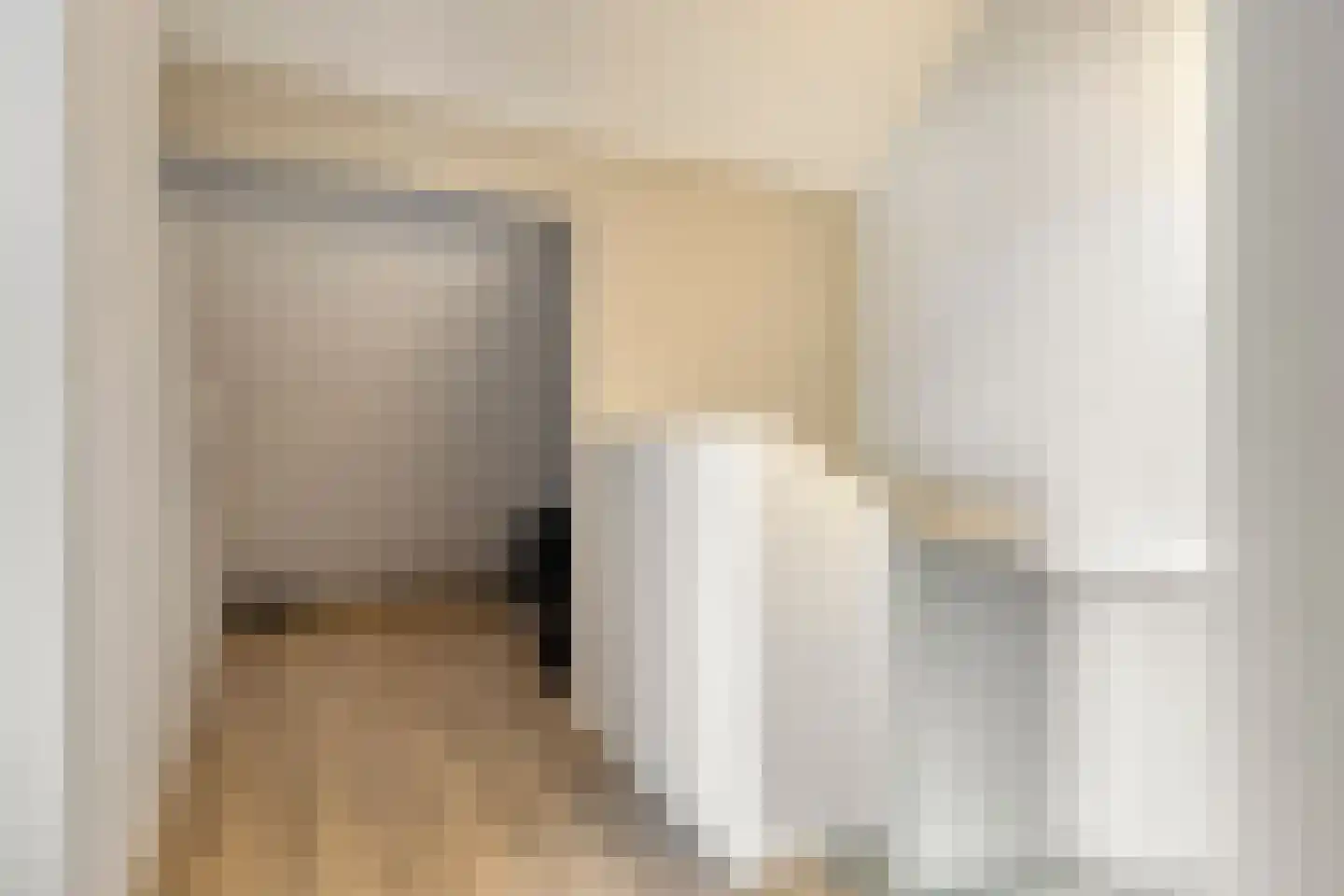 van Vollenhovenstraat 15 Hulst thumbnail 21